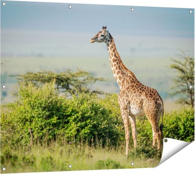Gards Tuinposter Giraffe in het Wild tussen de Struiken - 120x90 cm - Tuindoek - Tuindecoratie - Wanddecoratie buiten - Tuinschilderij