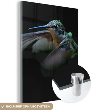 MuchoWow® Glasschilderij 120x160 cm - Schilderij acrylglas - Kolibrie - Vogel - Veren - Zwart - Foto op glas - Schilderijen
