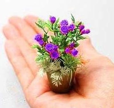 Zaden Mix - Bloemenzaadjes Zadenpakket - Tuinieren Bloemen Kweken - Zelf Groeien - 100 stuks - Regenboog