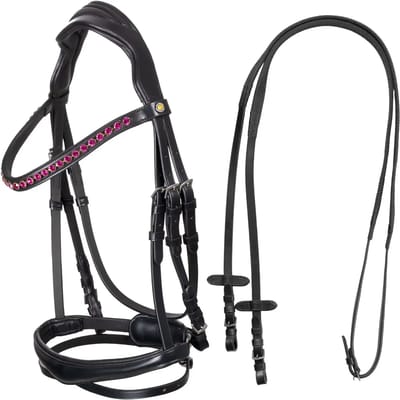 Anatomisch hoofdstel Equestro