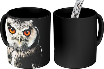 Magische Mok - Foto op Warmte Mokken - Koffiemok - Uil - Vogel - Oranje - Zwart - Magic Mok - Beker - 350 ML - Theemok