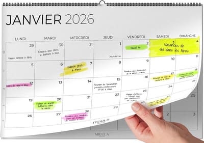 Wandkalender 2025/2026 - A4 Jaarplanner voor Thuis, Kantoor en School - Maandoverzicht en Organisatie