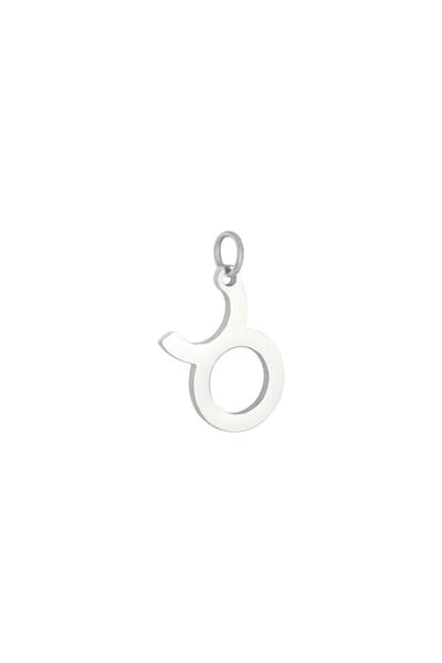 Hanger - chinees sterrenbeeld - stainless steel - zilver - kado - kerst