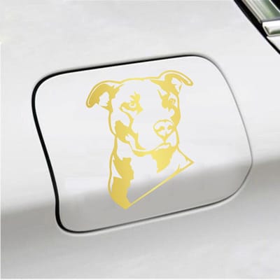 Bumpersticker - Pitbull  - 13 X 11 - Goud