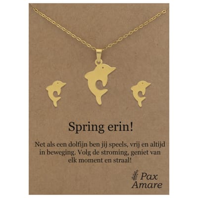 Stainless Steel Dolfijn Ketting + Oorbellen Setje op Cadeau Kaartje - Spring erin! - 45 cm ketting & ± 10x10mm Oorknopjes - Zilverkleurig Roestvrij Staal - Pax Amare