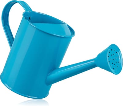 Kinder Gieter - Kleine Waterkan - Tuinieren Spelen - Roestvrij Metaal - 10x28x16 cm - Blauw