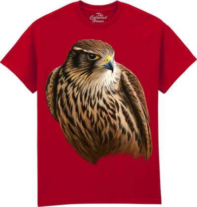 Valk Merlin Falcon - Smelleken The Coloured House T-shirt XXL