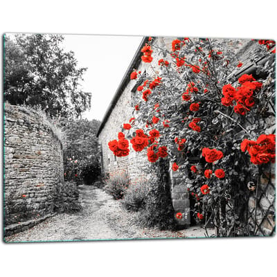 TMK ArtDeko Serie - Snijplank Glas - 52x40 - Inductiekookplaat Bescherming - Kleurrijk Motief