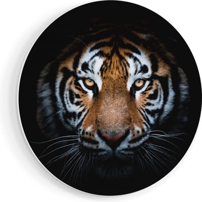 Artaza Forex Muurcirkel Tijger Op Zwart Achtergrond - 70x70 cm - Wandcirkel - Rond Schilderij - Wanddecoratie Cirkel - Muurdecoratie