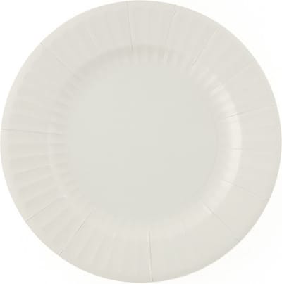 Givi Italia Feestbordjes/bbq bordjes - 8x - zilvergrijs - rond - papier/karton - 27cm - biologisch afbreekbaar - groot