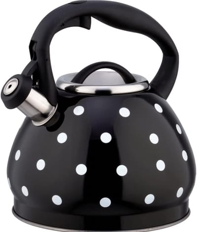 Fluitketel RVS - Waterketel Theepot - Water Koken - Warmte-isolerend Handvat - 3 Liter - Zwart