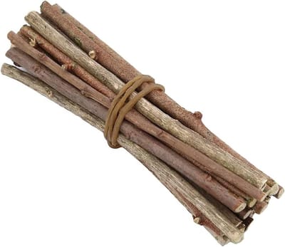 Houten Stokjes - Knutselstokjes Mini Twijgjes - Knutselen en Decoreren - Glad en Veilig Ontwerp - 100 stuks 10 cm