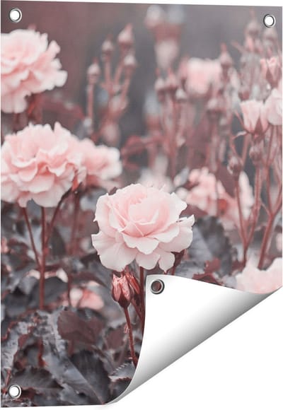Gards Tuinposter Roze Rozen Bloemen - 40x50 cm - Tuindoek - Tuindecoratie - Wanddecoratie buiten - Tuinschilderij