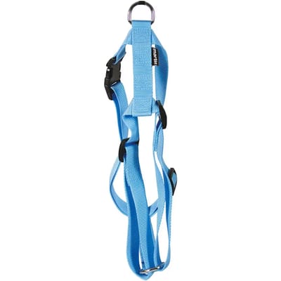 Hondentuig Nylon Martin - Blauw 35-50cm Maat XS - Stevig Tuig voor Honden