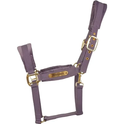 Kentucky Horsewear - Velvet halster purper full