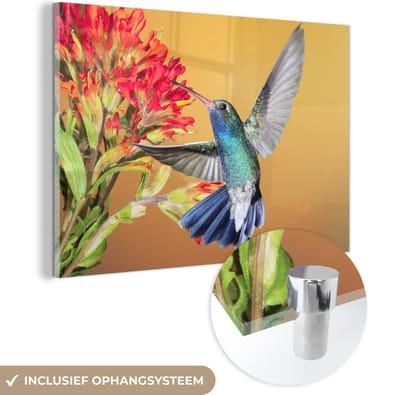 ® Glasschilderij 180x120 cm - Schilderij acrylglas - Vogel - Kolibrie - Bloemen - Foto op glas - Muurdecoratie woonkamer - Wanddecoratie slaapkamer - Schilderijen