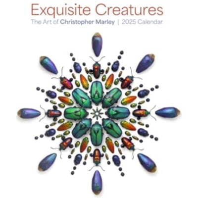 Exquisite Creatures - Marley, Christopher