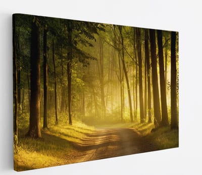 Saammp Canvas Schilderij - Weg door het bos - Bomen - Landschap - Natuur - 45x30 - Foto op canvas - Wanddecoratie - Muurdecoratie Woonkamer - Slaapkamer decoratie - Canvas Print