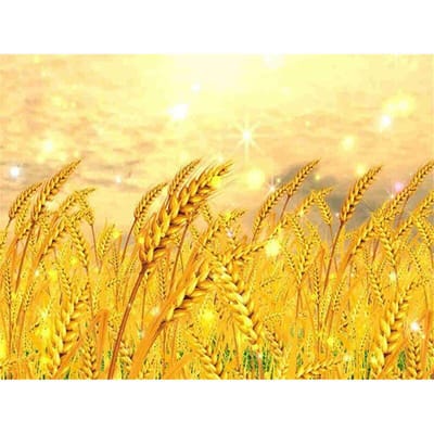 5D Diamond Painting Herfstlandschap Boom Volledig rond diamantborduurwerk 20X30CM beige