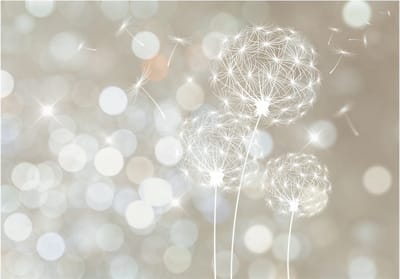 Fotobehangkoning - Behang - Vliesbehang - Fotobehang - Bloemen - The Ballad of Beauty - 300 x 210 cm