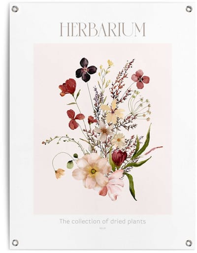 Tuinposter Herbarium - 80 x 60 - Canvas - REINDERS