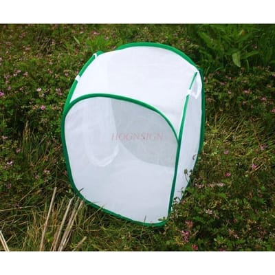 Vlinderkooi Huisdier Foknetkooi Plant Doorschijnende Kas Libelle Kameleon Pvc Mug En Reptiel