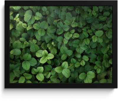 Poster in lijst - Fotolijst 40x30 cm - Posters - Groen - Bladeren - Kartel - Zonlicht - Posterlijst zwart - Decoratie - Wanddecoratie woonkamer - Muurdecoratie slaapkamer