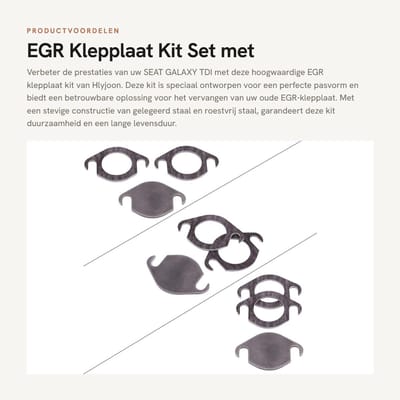 Dailygoods- EGR Klep Reiniger Diesel - EGR Klep - Kit - Geschikt voor SEAT GALAXY TDI - Inclusief afdichting - Onderdeel voor dieselmotoren