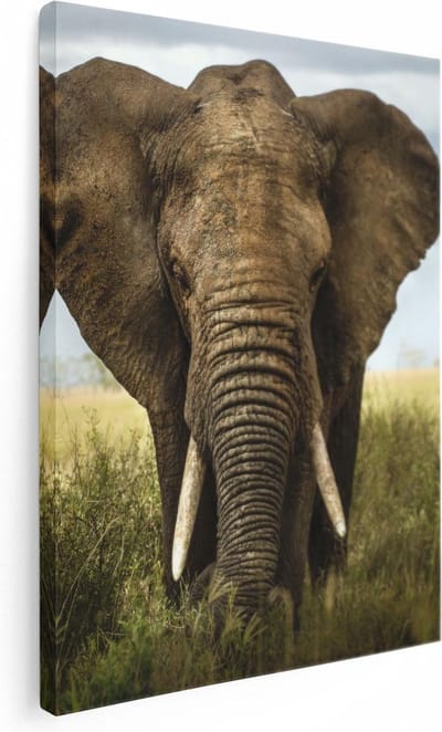 Artaza Canvas Schilderij Olifant Afrika - 30x40 cm - Klein - Wanddecoratie Woonkamer - Muurdecoratie Dieren - Kamer Accessoires
