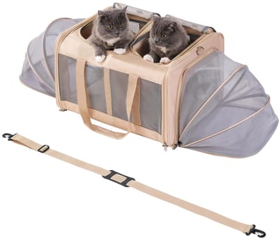 Kattentransportbox voor 2 katten/kleine honden tot 15 kg, opvouwbaar en uitbreidbaar, met afneembaar kussen en veiligheidsgordels (53 x 43 x 33 cm, beige)