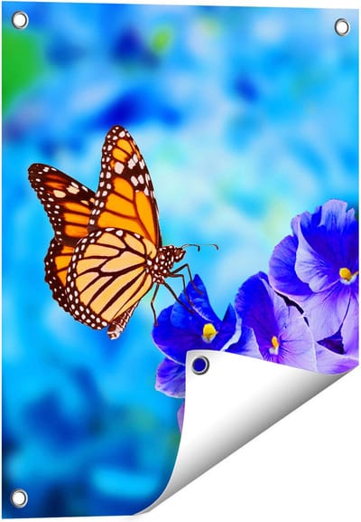 Gards Tuinposter Oranje Vlinder bij Paarse Bloemen - 40x50 cm - Tuindoek - Tuindecoratie - Wanddecoratie buiten - Tuinschilderij