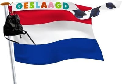 Geslaagd wimpel 25x300cm Vrolijke kleuren