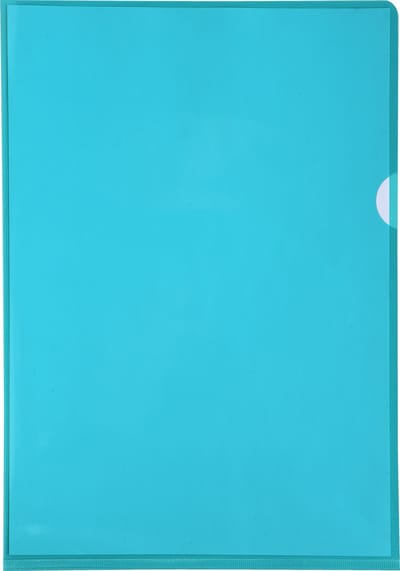 Exacompta Pak van 100 L mappen - gladde PVC 13/100e - A4 - Groen - 661295E