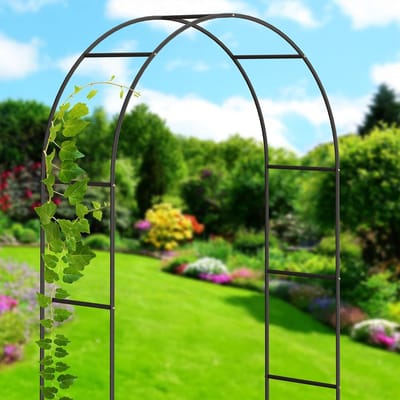 Candala Rozenboog metaal, - Zwart - 240 cm - Metaal voor dagelijks