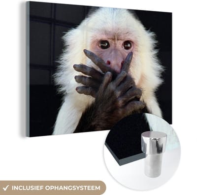 MuchoWow® Glasschilderij 120x80 cm - Schilderij acrylglas - Aap - Wilde dieren - Portret - Foto op glas - Schilderijen
