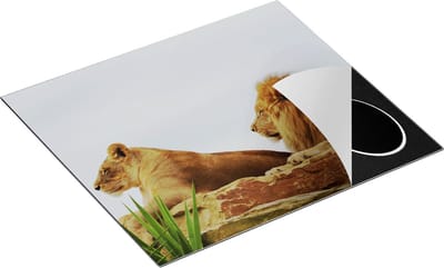 Chefcare Inductie Beschermer Leeuw en Leeuwin op een Rots - 60x50 cm - Afdekplaat Inductie - Kookplaat Beschermer - Inductie Mat