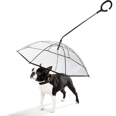 Parapluie pour chien avec chaîne de laisse Housse transparente pour petits et moyens chiens par temps de pluie ou de neige transparent