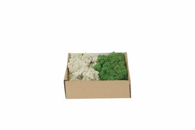 My Village | Rendiermos Mix Donkergroen – Naturel | 250 g