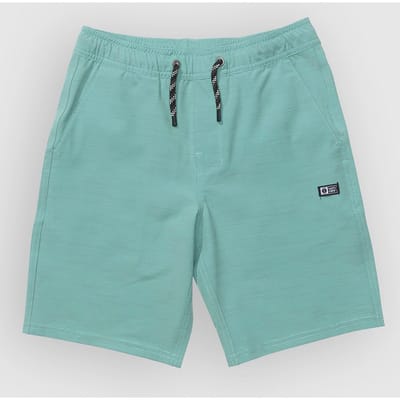 Salty Crew Drifter  Elastic Hybrd Kids Korte Broek patroon