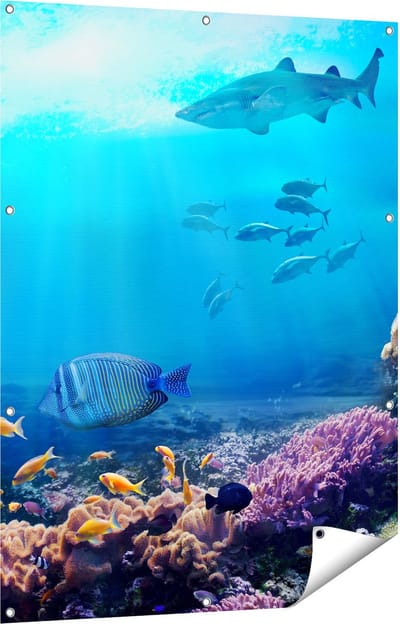 Gards Tuinposter Vissen met Haaien in de Oceaan met Koraalrif - 90x120 cm - Tuindoek - Tuindecoratie - Wanddecoratie buiten - Tuinschilderij
