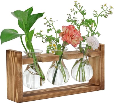 4 stuks decoratie woonkamer tafeldecoratie kantoor decoratie met houten standaard 3 planten terrarium afneembare waterwisselaar hyacint glas ideaal voor kantoren, eetkamer en woonruimtes