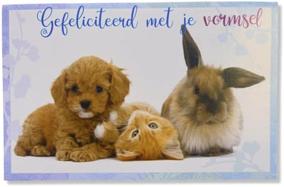 Vormsel Wenskaart Schattige Dieren - 12x17cm - Gevouwen kaart inclusief envelop - Heilig Vormselkaart