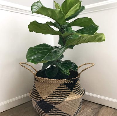 Mand bloempot stro bloemenmand wasmand opvouwbare opbergmand groot met handvat voor kinderkamer badkamer (D#38CM*34CM)