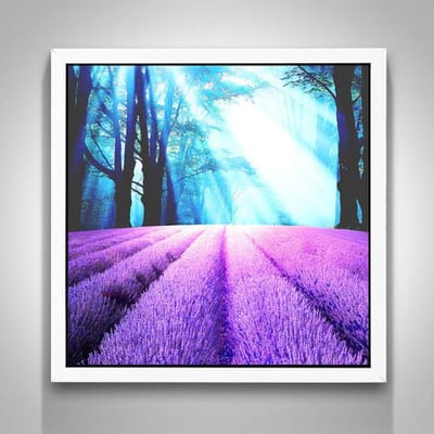 5D DIY Diamond Painting Lavendel Landschap Diamant Geborduurd Kruissteek Home Decor Cadeau 30X30CM black