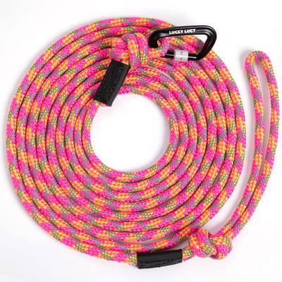 Reflecterende Hondenriem voor Middelgrote en Grote Honden - 5m Scheurvast en Lichtgevend Fuchsia