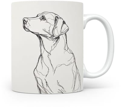 Beker Labrador Retriever