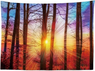 Ulticool - Bomen Zonsondergang Natuur - Wandkleed - 200x150 cm - Groot wandtapijt - Poster - Complete Slaapkamer voor Volwassen Kamer Woonkamer Decoratie Accessoires Mannen Gadget Tiener Jongen Meisje