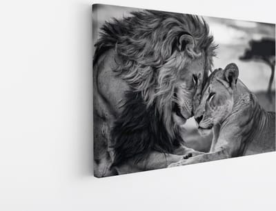 Saammp Canvas Schilderij - 2 Leeuwen - Liefdevol - Natuur - Dieren - 45x30 - Foto op canvas - Wanddecoratie - Muurdecoratie Woonkamer - Slaapkamer decoratie - Canvas Print
