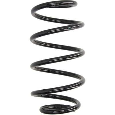 Chassisveer MAGNUM TECHNOLOGY SW171MT