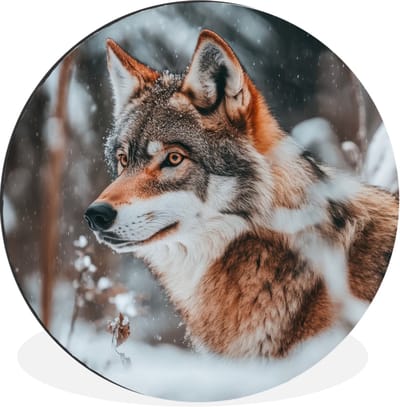WallCircle - Wandcirkel - Muurcirkel - Wolf - Sneeuw - Winter - Dieren - Natuur - Sneeuw - Aluminium - Dibond - 120x120 cm - Binnen en Buiten XXL